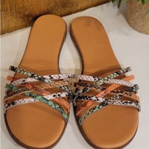 Madewell the trace crisscross slide sandal in snake embossed leather